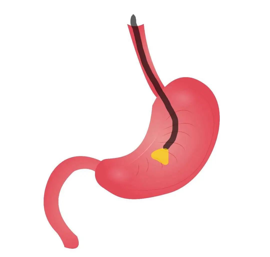 1650444855854954.jpg 3.jpg