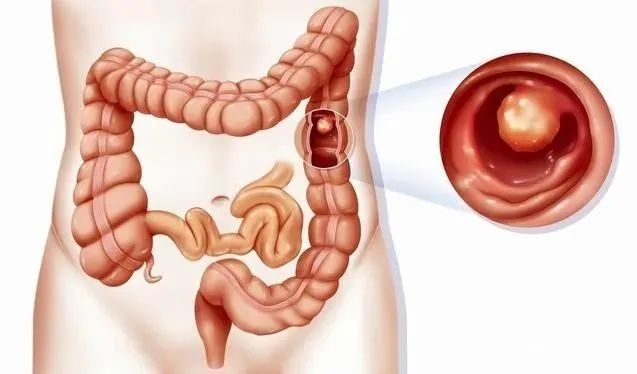 1692952688564710.png image.png